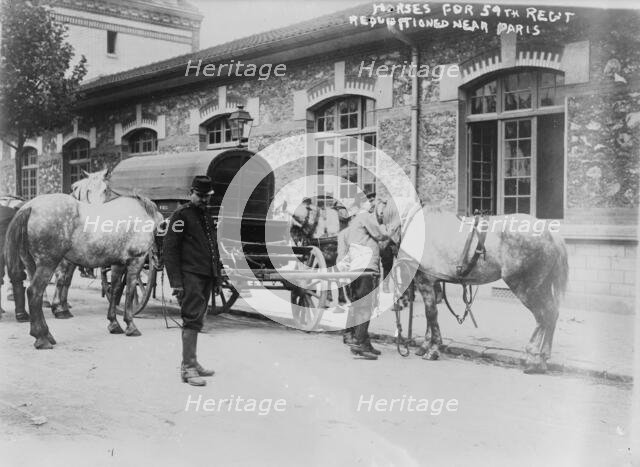 Horses for 59th Regt. requisitioned near Paris, 14 Aug 1914. Creator: Bain News Service.
