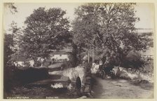 View near Wear Gifford, 1860/94. Creator: Francis Bedford.