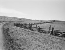 Road going up Squaw Creek Valley, leaving Ola, Ola self-help sawmill co-op, Gem County, Idaho, 1939. Creator: Dorothea Lange.