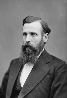 McGowan, Hon. J.H. of Mich., between 1870 and 1880. Creator: Unknown.