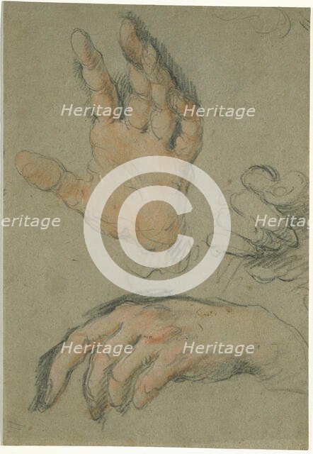 Study of Three Hands, between 1625 and 1630. Creator: Bernardo Strozzi.