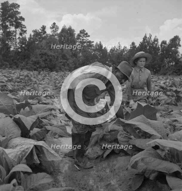 Possibly: Negro tenants...and white owner's children..., Granville County, North Carolina, 1939. Creator: Dorothea Lange.