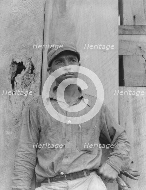 Member of the Delta cooperative farm, Hillhouse, Mississippi, 1937. Creator: Dorothea Lange.