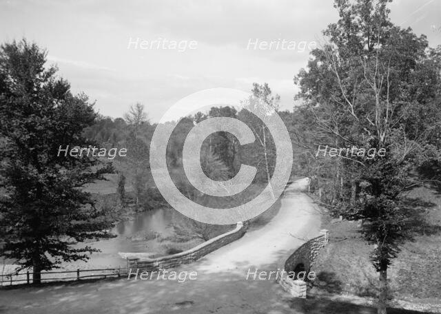 Rock Creek Road, Zoo Park, Washington, D.C., c1906. Creator: Unknown.
