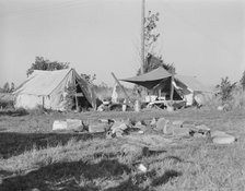Bean pickers' camp,Oregon, Marion county, near West Stayton, Oregon, 1939. Creator: Dorothea Lange.