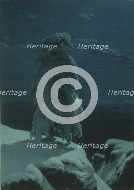 In the wilds of the North. Artist: Shishkin, Ivan Ivanovich (1832-1898)