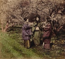 'Under the Plum Blossoms, Sugita, Japan', 1896. Artist: Unknown.