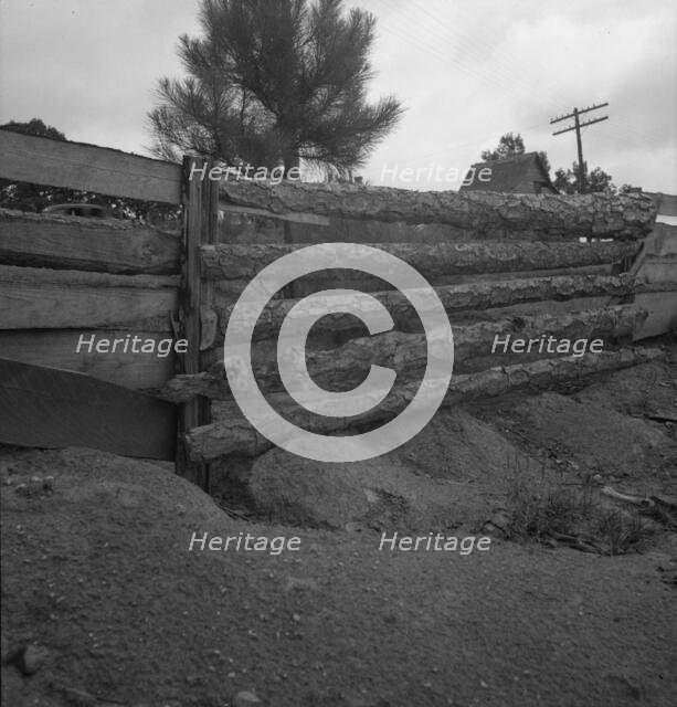 Eroding field and fence, Greene County, Georgia, 1937. Creator: Dorothea Lange.