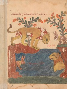 The Hare, the Lion, and the Well, Folio from a Kalila wa Dimna, 18th century. Creator: Unknown.