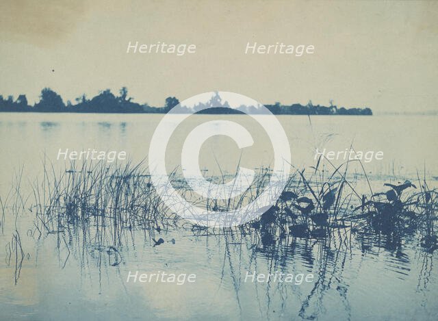 Potomac River, c1898. Creator: Frances Benjamin Johnston.