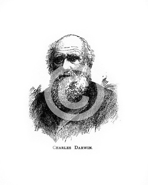 Charles Darwin, 19th century British naturalist, (20th century). Artist: Unknown