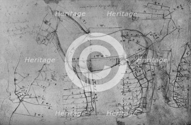 'Measured Drawing of a Horse in Profile to the Left', c1480 (1945). Artist: Leonardo da Vinci.