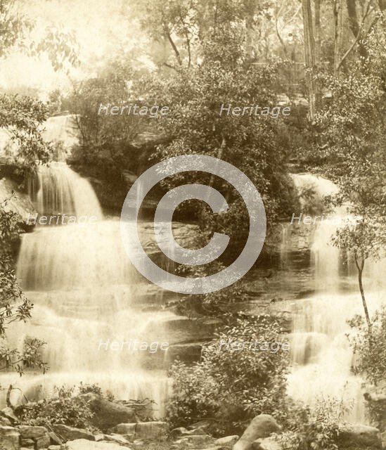 Mosman Bay: upper falls. Creator: Unknown.