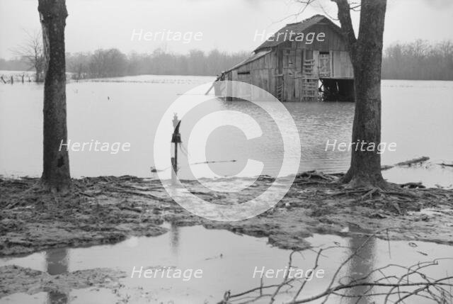 Farmyard covered with flood waters near Ridgeley, Tennessee, 1937. Creator: Walker Evans.
