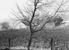 Stock ranch and plowed field, Contra Costa County, California, 1938. Creator: Dorothea Lange.