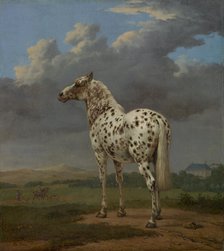 Piebald Horse, ca 1654. Artist: Potter, Paulus (1625-1654)
