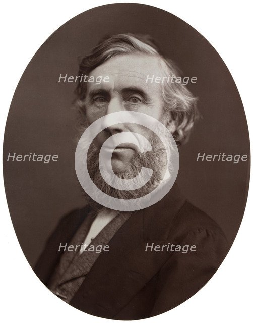 John Tyndall, DCL, LLD, FRS, Professor of Natural Philosophy at the Royal Institution, 1877.Artist: Lock & Whitfield