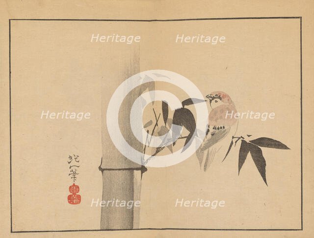 Sakai Hoitsu gajo (Sakai Hoitsu painting album). Creator: Hoitsu, Sakai (1761-1828).