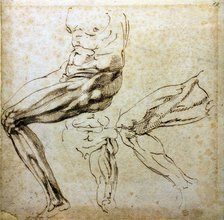 Studies of legs, 1524-1525. Artist: Buonarroti, Michelangelo (1475-1564)