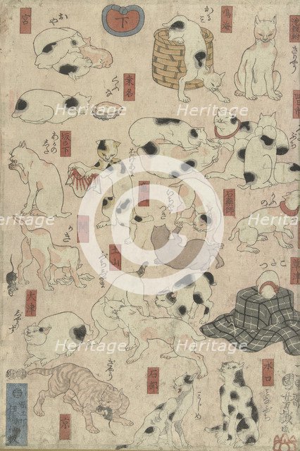 Cats. From the Series Fifty-three Stations of the Tokaido, 1848-1849.