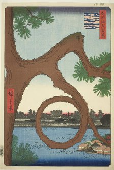 The Moon Pine on the Temple Grounds at Ueno (Ueno sannai Tsuki no matsu), from the series ..., 1857. Creator: Ando Hiroshige.