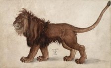 Lion, 1521. Creator: Dürer, Albrecht (1471-1528).