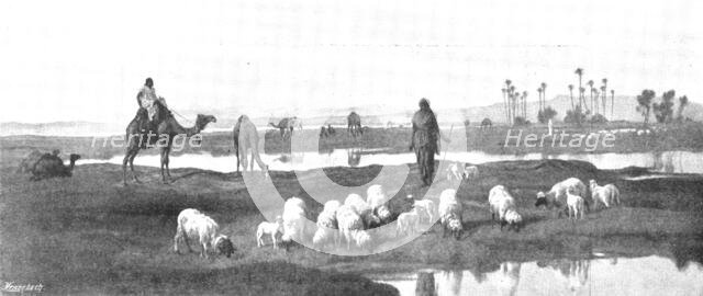 Pictures from the Royal Academy: Laban's Pasture: Jacob Serving for Rachel - F. Goodall, R.A., 1895. Creator: George Meisenbach.