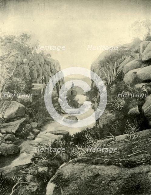 'The Gorge, Buffalo Falls, Victorian Alps', 1901. Creator: Unknown.