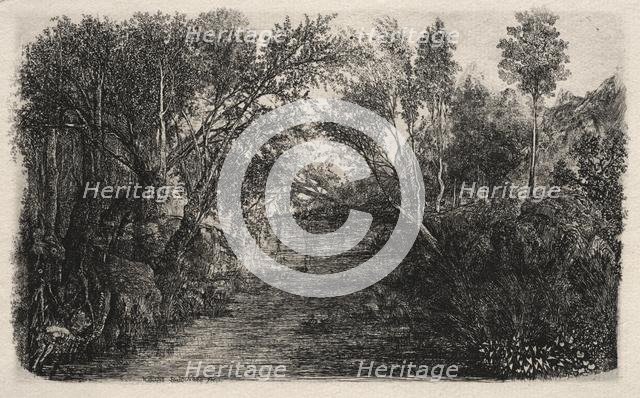 The Stream, 1880. Creator: Rodolphe Bresdin (French, 1822-1885).