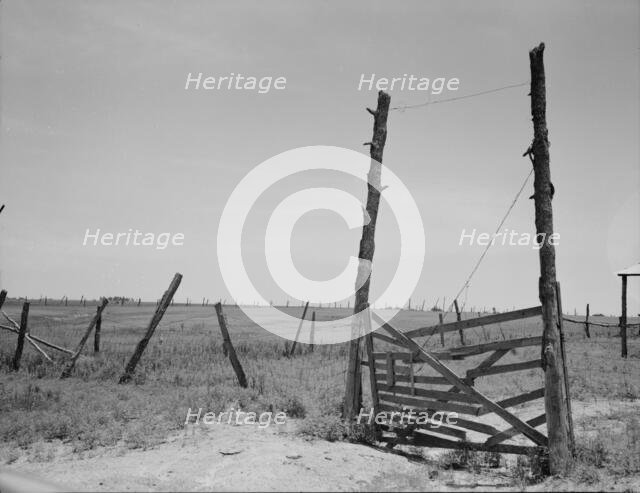 Abandoned land, exhausted soil, Carter County, Oklahoma, 1937. Creator: Dorothea Lange.