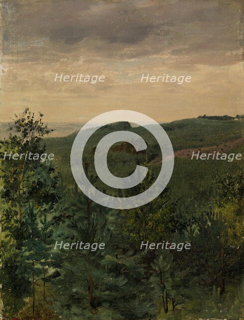 Spruce Saplings in Sandy Soil, Study, 1854. Creator: Werner Holmberg.