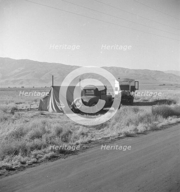 Transient potato workers camping along the highway, Near Shafter, California, 1935. Creator: Dorothea Lange.
