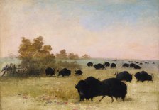 Catlin and Party Stalking Buffalo, Upper Missouri, 1846-1848. Creator: George Catlin.