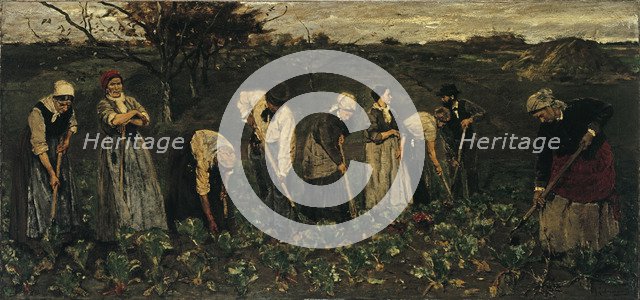 Workers on the beet field. Artist: Liebermann, Max (1847-1935)