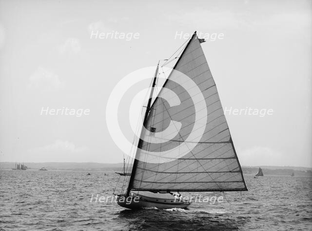 Dot, 1899 June 20. Creator: John S Johnston.