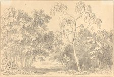 Wooded Landscape. Creator: Anthony Devis.