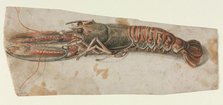 Lobster, 1600s. Creator: Anonymous.