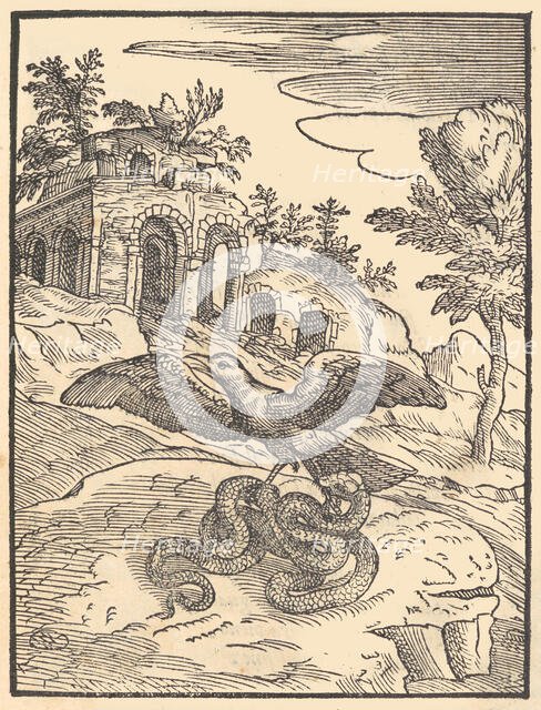Bird and snake, 1570. Creator: Giovanni Maria Verdizotti.