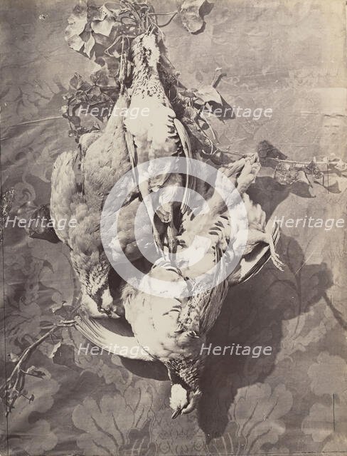 [Still Life with Game Birds], 1859. Creator: Charles Nègre.