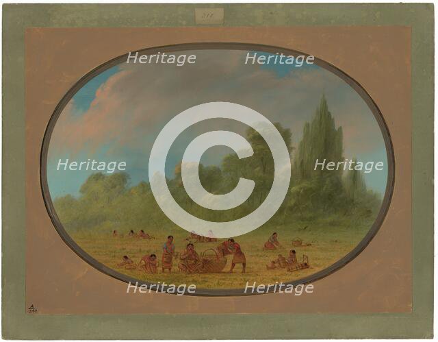 Caddoe Indians Gathering Wild Strawberries, 1861/1869. Creator: George Catlin.