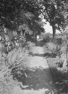 Cosgrave grounds, not before 1917. Creator: Arnold Genthe.