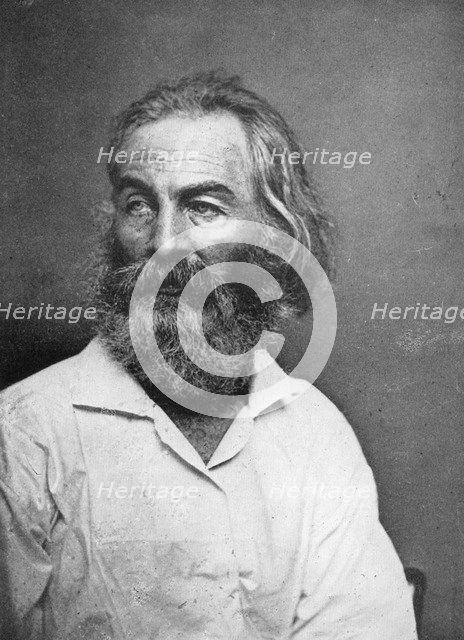Walt Whitman (1819-1892), American poet, c1880s. Artist: Mathew Brady