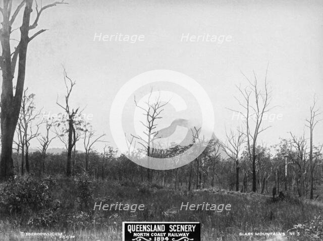Glasshouse Mountains, Tibberoowuccum, 1894. Creator: Unknown.