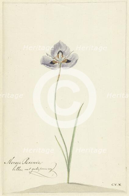 Iris, 1741-1795. Creator: Cornelis van Noorde.