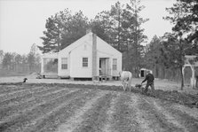 Briar Patch Project, Resettlement homestead near Eatonton, Georgia, 1936. Creator: Walker Evans.
