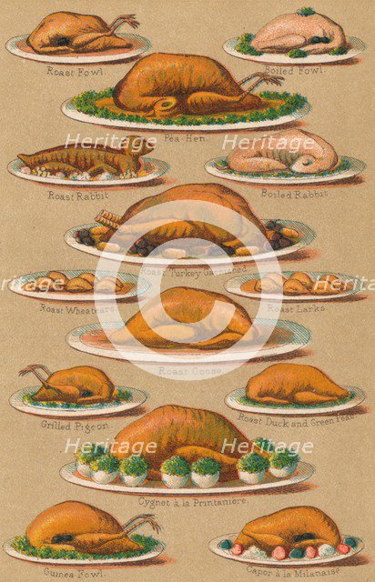 'Household Management - Plate VI', 1907, (1907). Artist: Unknown.