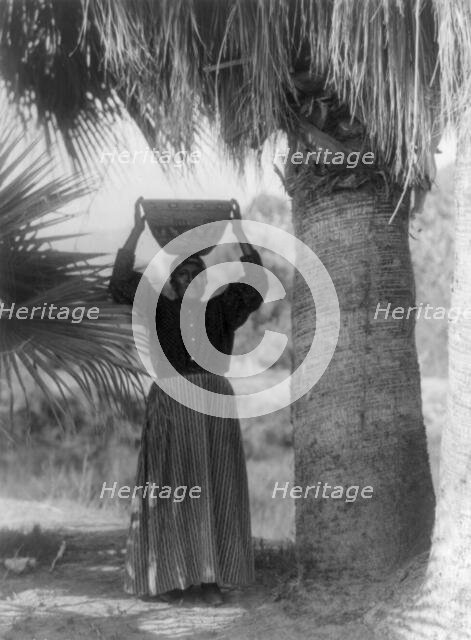 The harvester-Cahuilla, 1905, c1924. Creator: Edward Sheriff Curtis.