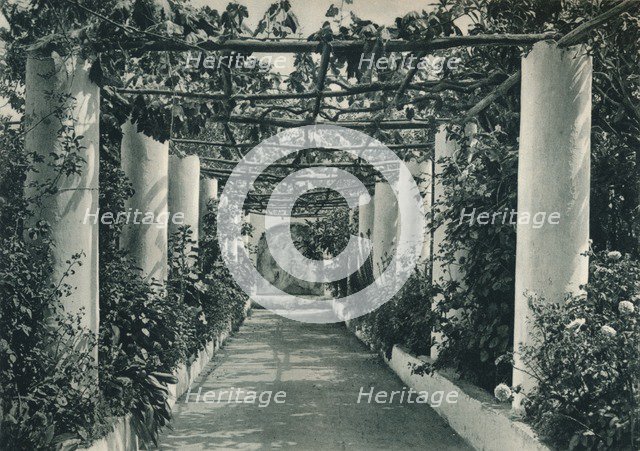 Pergola in a vineyard, Capri, Italy, 1927. Artist: Eugen Poppel.