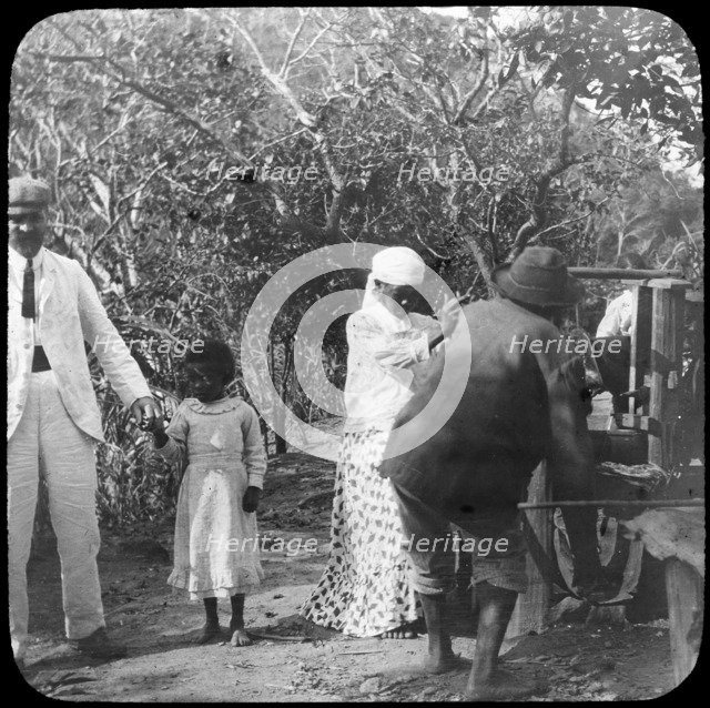 Grinding sugar cane, Brazil, late 19th or early 20th century. Artist: Unknown