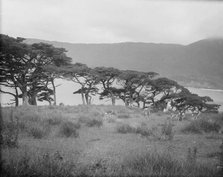 Travel views of Japan and Korea, 1908. Creator: Arnold Genthe.